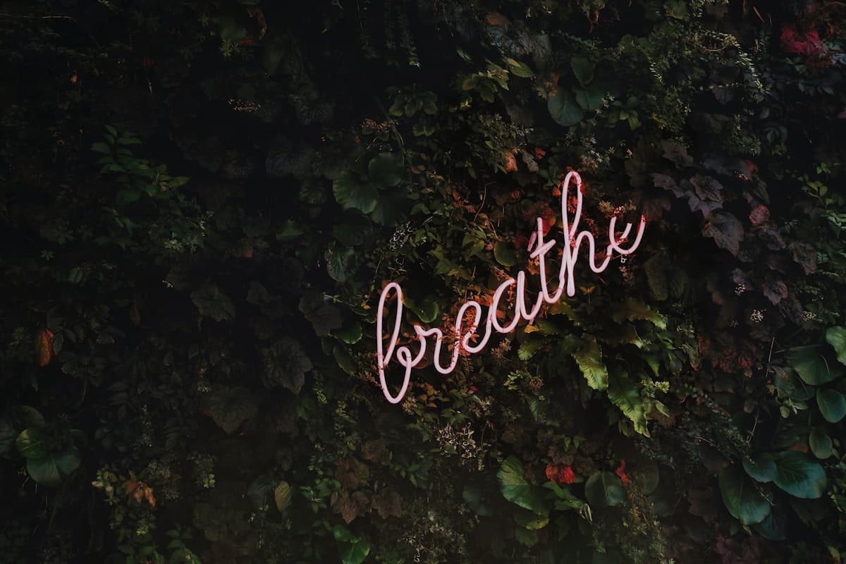 Soft neon sign reading “breathe” nestled in a wall of leaves